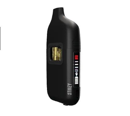 Stiiizy Bar 2G vape pen