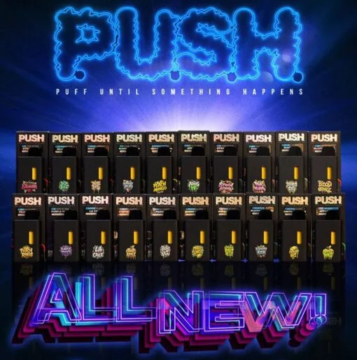 PUSH 2G Disposable Vape pen